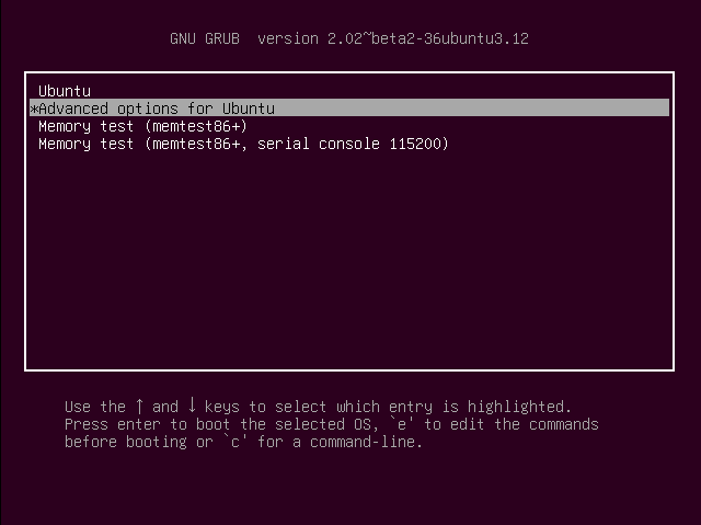 Grub Menu with 'Advanced options for Ubuntu' selected